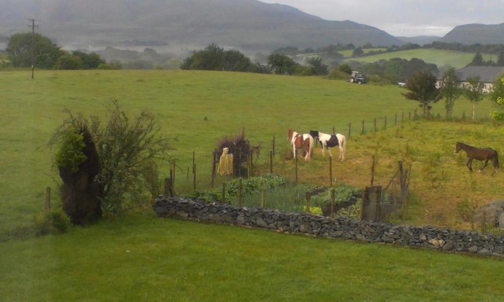 Dunn Court House Bed and Breakfast Cill Airne Esterno foto